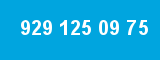 929 125 09 75